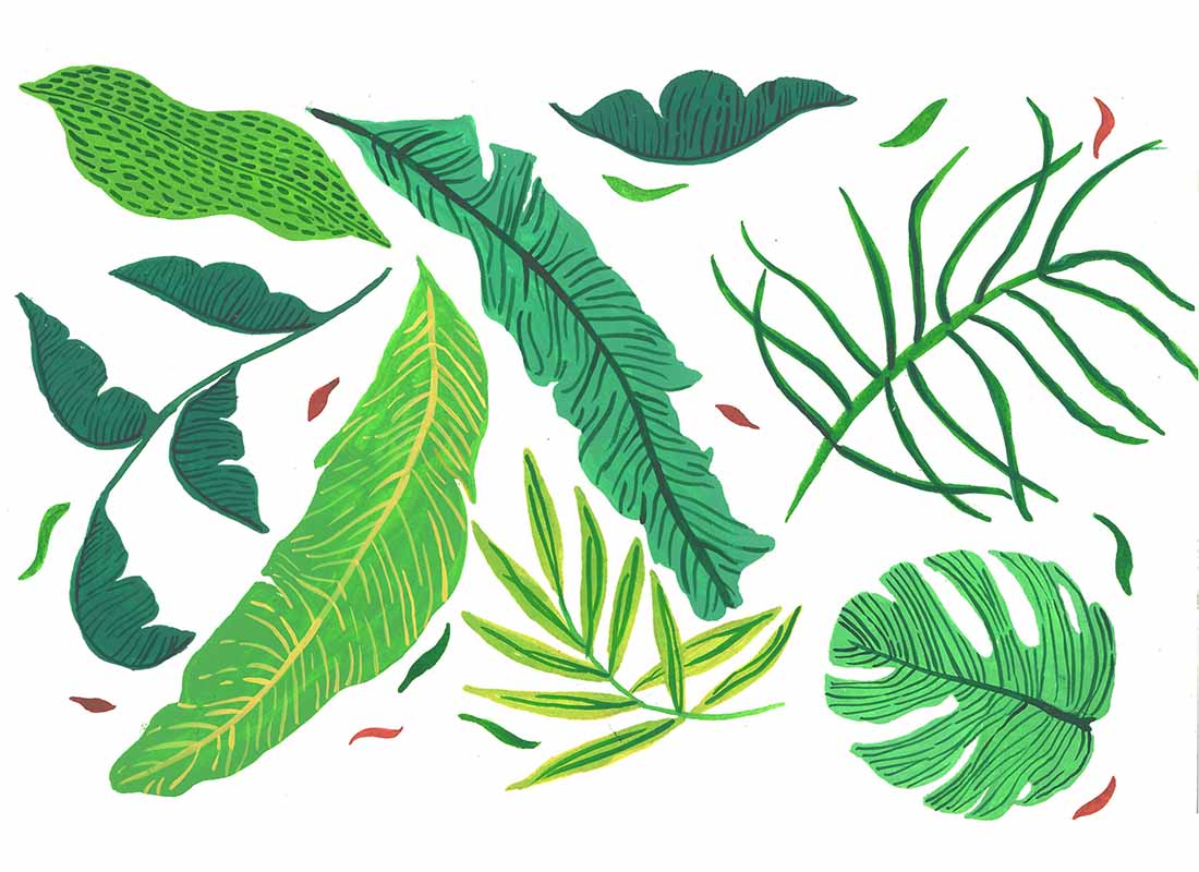 A Tropical Overlay