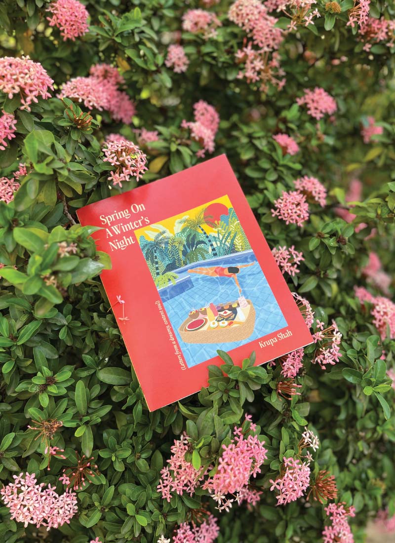 Spring On A Winter's Night Book