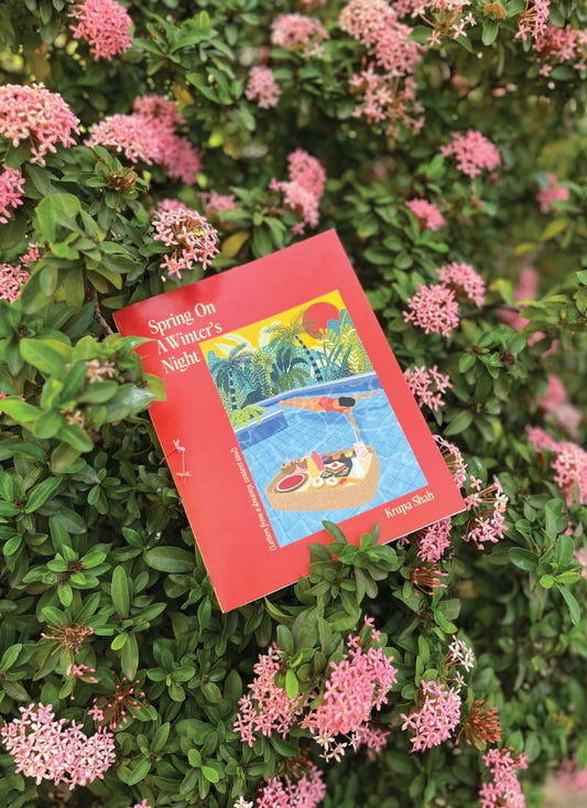 Spring On A Winter's Night Book