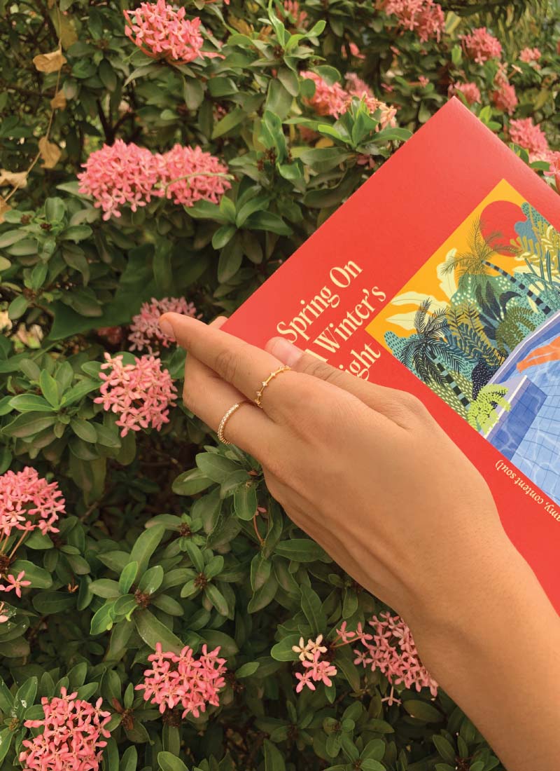 Spring On A Winter's Night Book