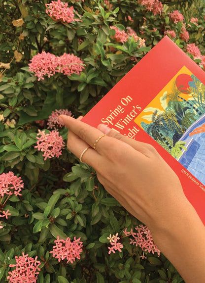 Spring On A Winter's Night Book