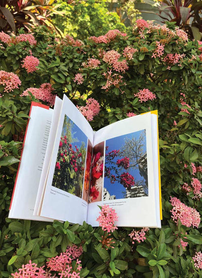 Spring On A Winter's Night Book